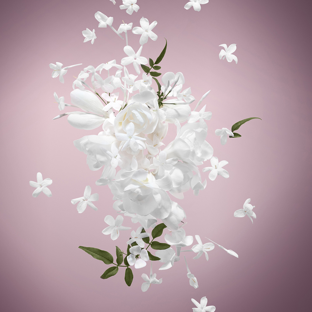 Flowerbomb Midnight, EdP