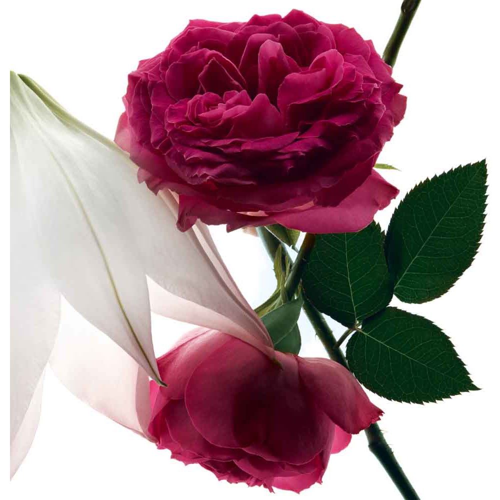 Mon Paris Intensément, EdP