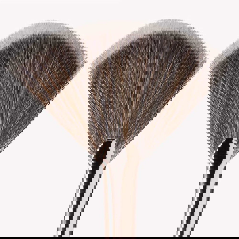 Fan Brush