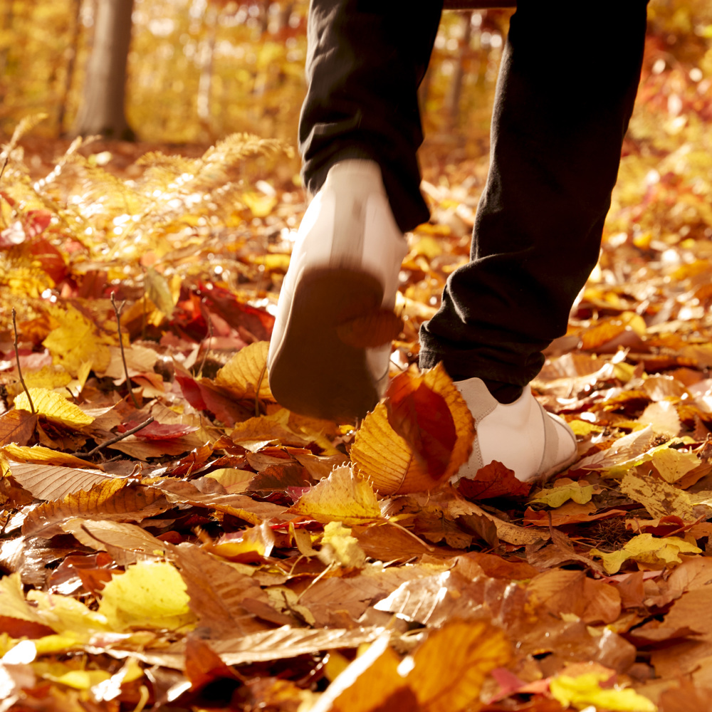 Replica Autumn Vibes, EdT