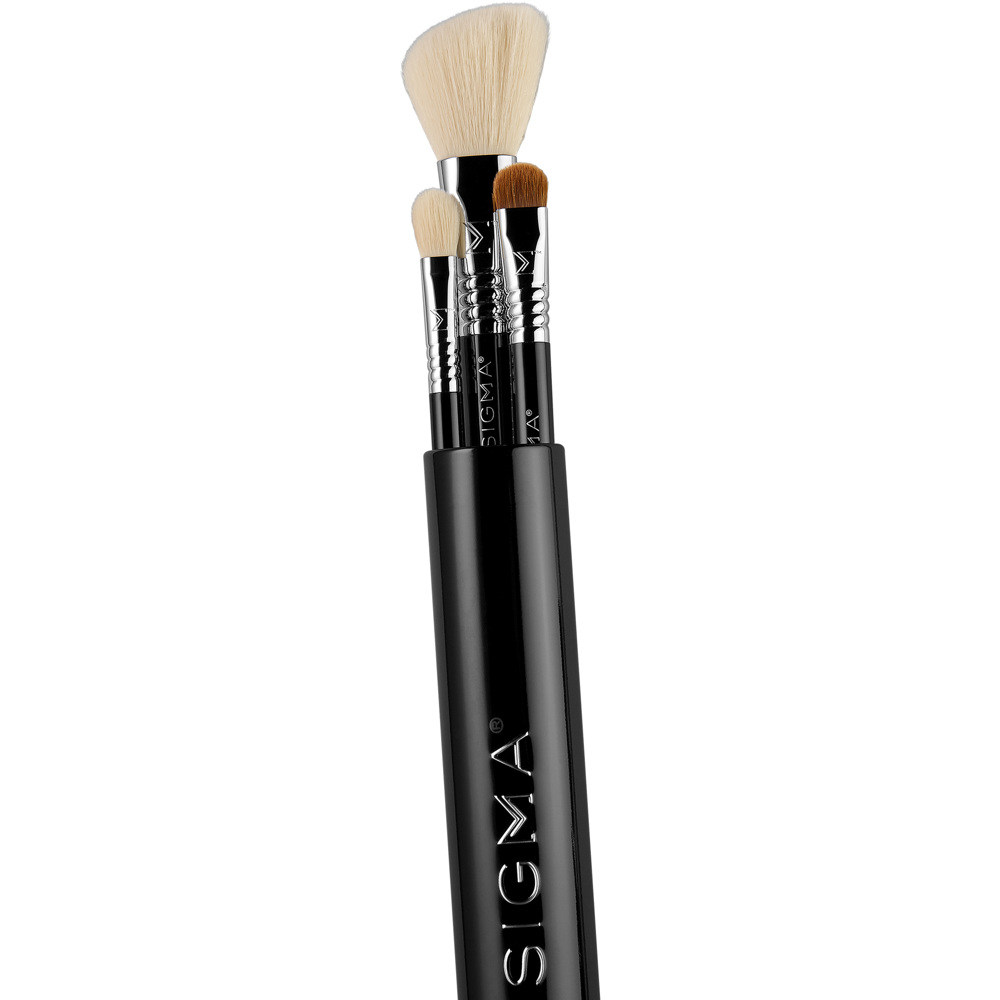 Essential Trio Brush Set